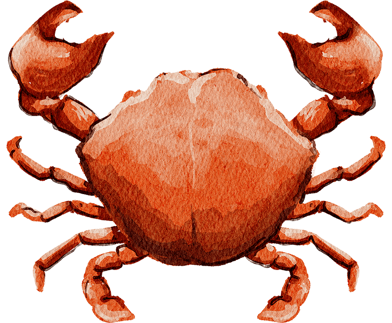 seafood-restaurant-15 生魚片.gif
